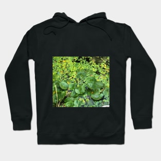 Lilly Pads Hoodie